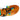 big_889_dsc02361_canv